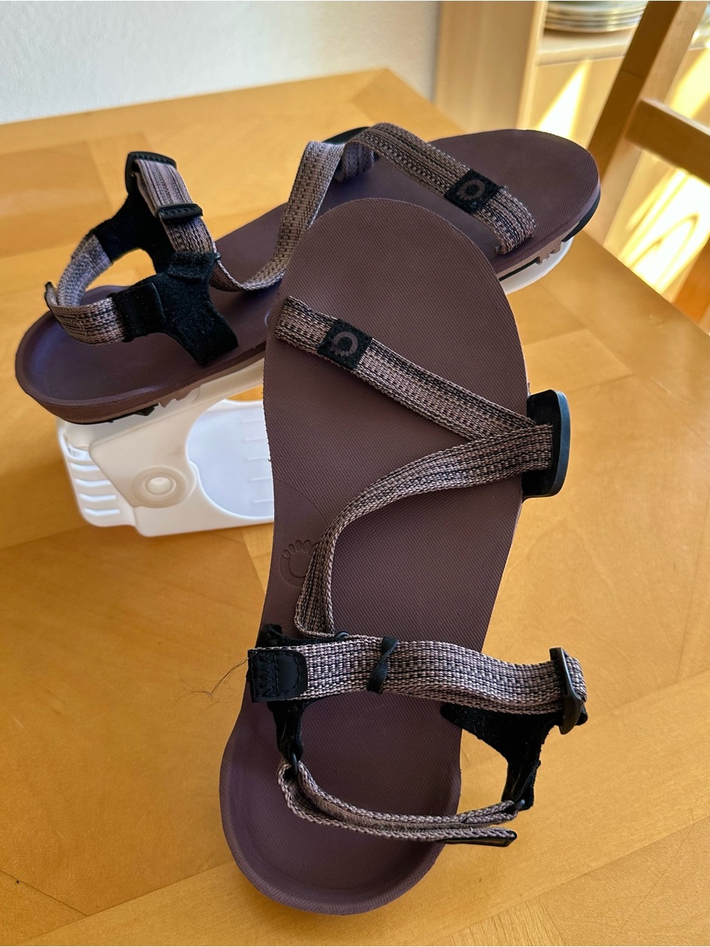 Xero Shoes Z-Trail EV Barefoot Sandals Dusty Rose 8